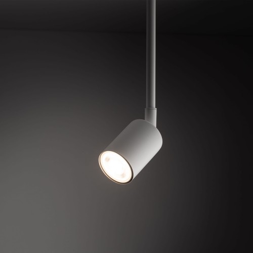 Reflektor do systemu szynowego 1-fazowego Tracer nowoczesny loft metalowy tuba biały TK Lighting Tracer 4888 1x10W GU10