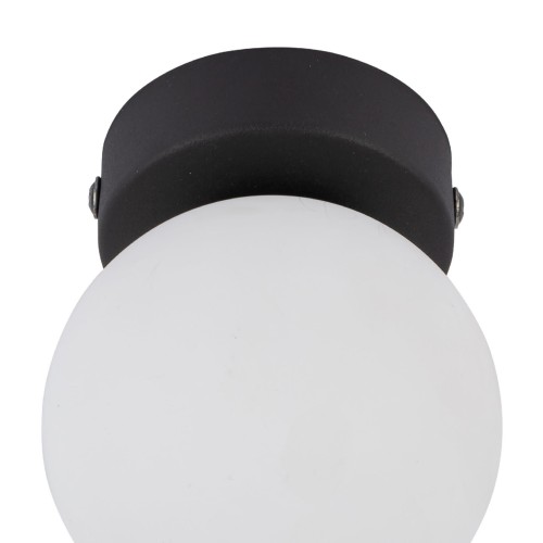 Plafon nowoczesny klasyczny klosz szklany kula czarny biały TK Lighting Vox 5613 1x8W G9