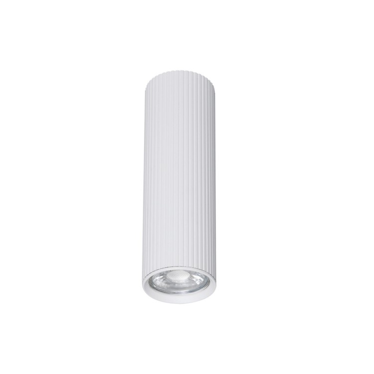 Spot nowoczesny industrialny loft metalowy tuba biały TK Lighting Tune 10025 1x10W GU10
