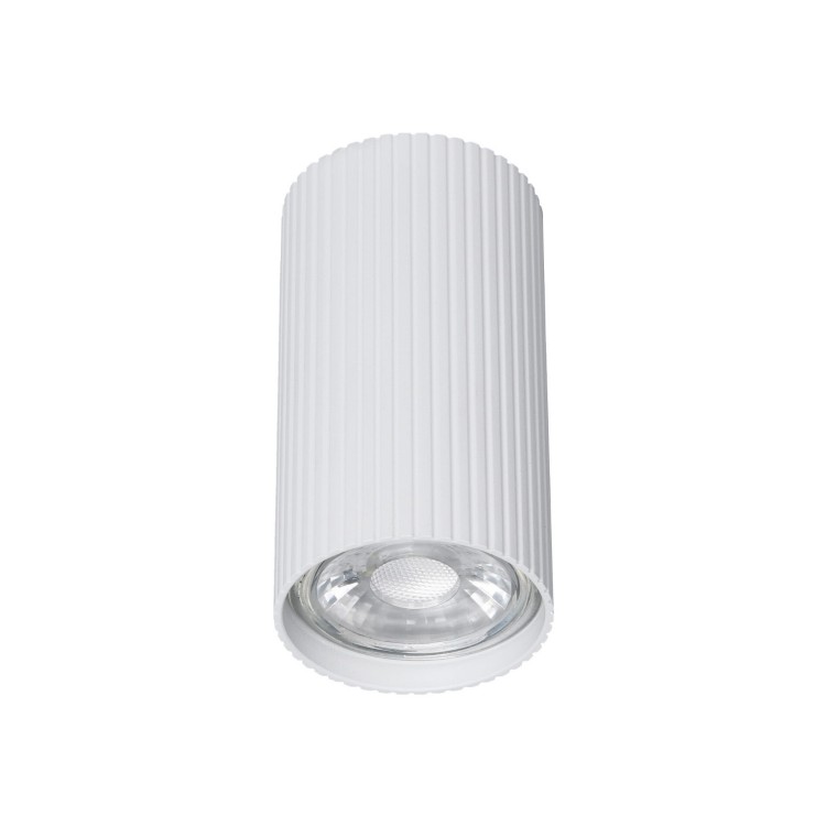Spot nowoczesny industrialny loft metalowy tuba biały TK Lighting Tune 10023 1x10W GU10