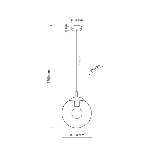 Lampa wisząca nowoczesna elegancka loft industrialna klosz szklany kula transparentna czarna TK Lighting Esme 3267 1x15W E27