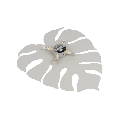 Kinkiet ścienny do salonu sypialni metalowy liść beżowy TK Lighting Monstera 6436 4x6W G9