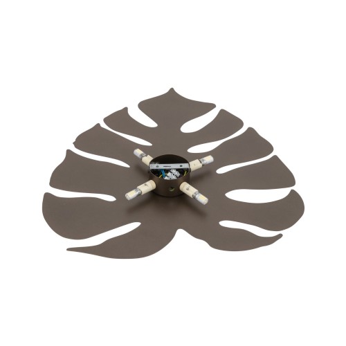 Kinkiet ścienny do salonu sypialni metalowy liść metalowy brązowy TK Lighting Monstera 5822 4x6W G9