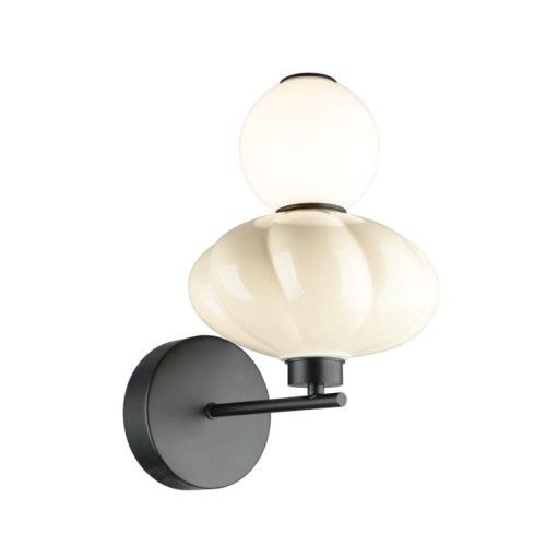 tordi (3).jpg