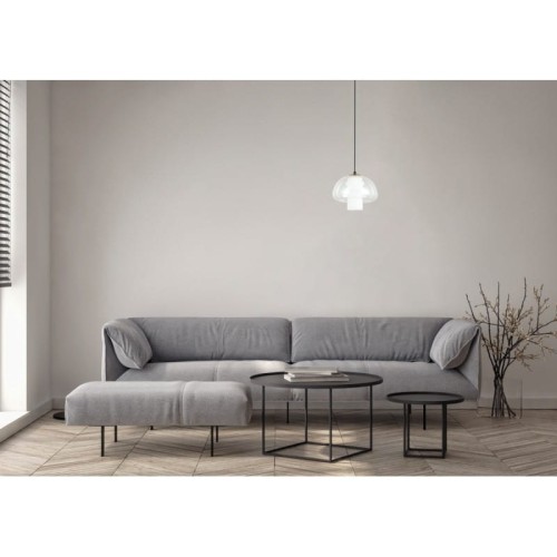 feder (3).jpg