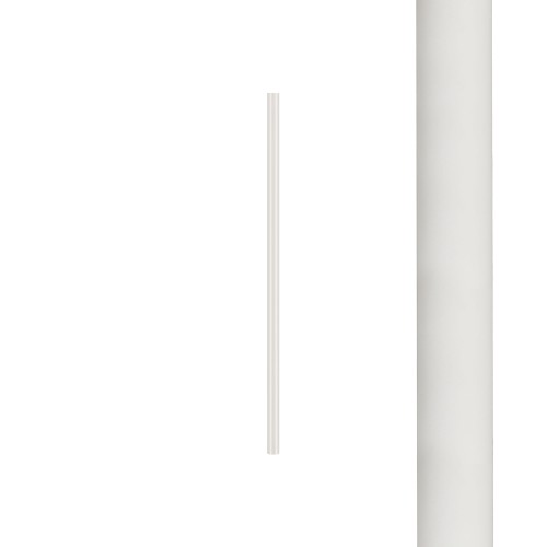 d04c03f27eac9fb05f0e059f33cae7fe