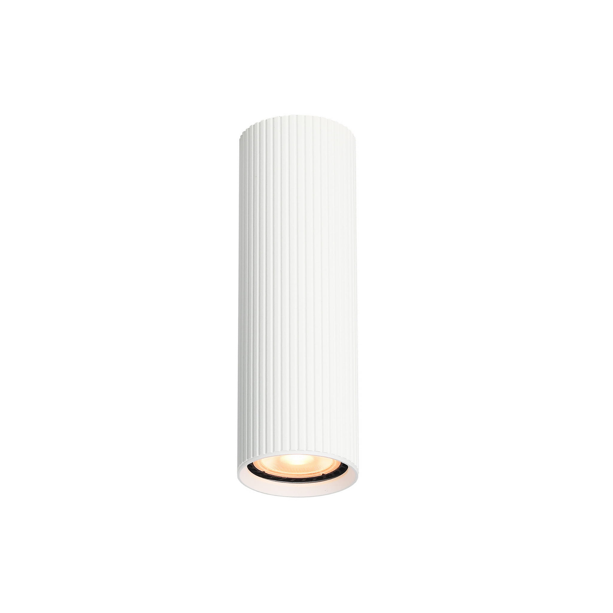Spot nowoczesny industrialny loft metalowy tuba biały TK Lighting Tune 10025 1x10W GU10