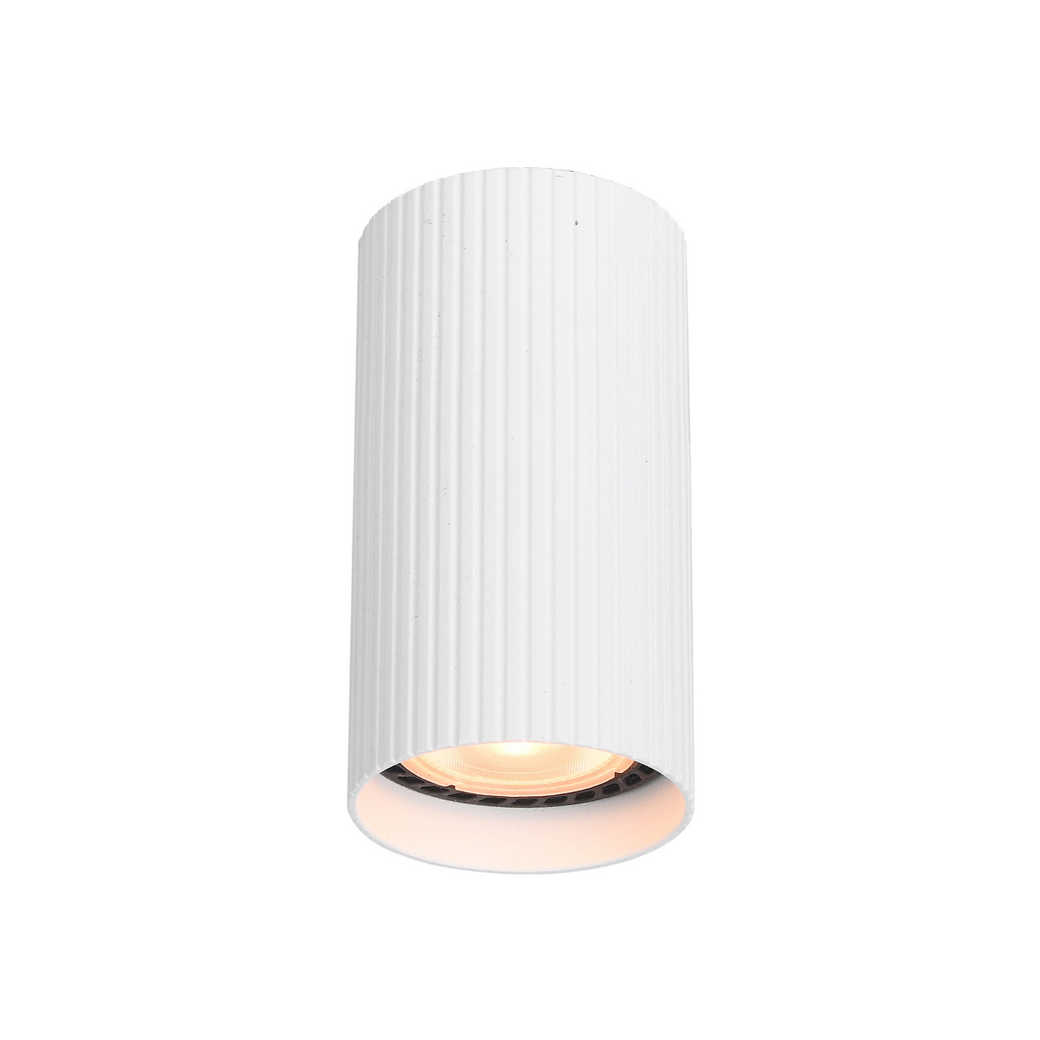 Spot nowoczesny industrialny loft metalowy tuba biały TK Lighting Tune 10023 1x10W GU10