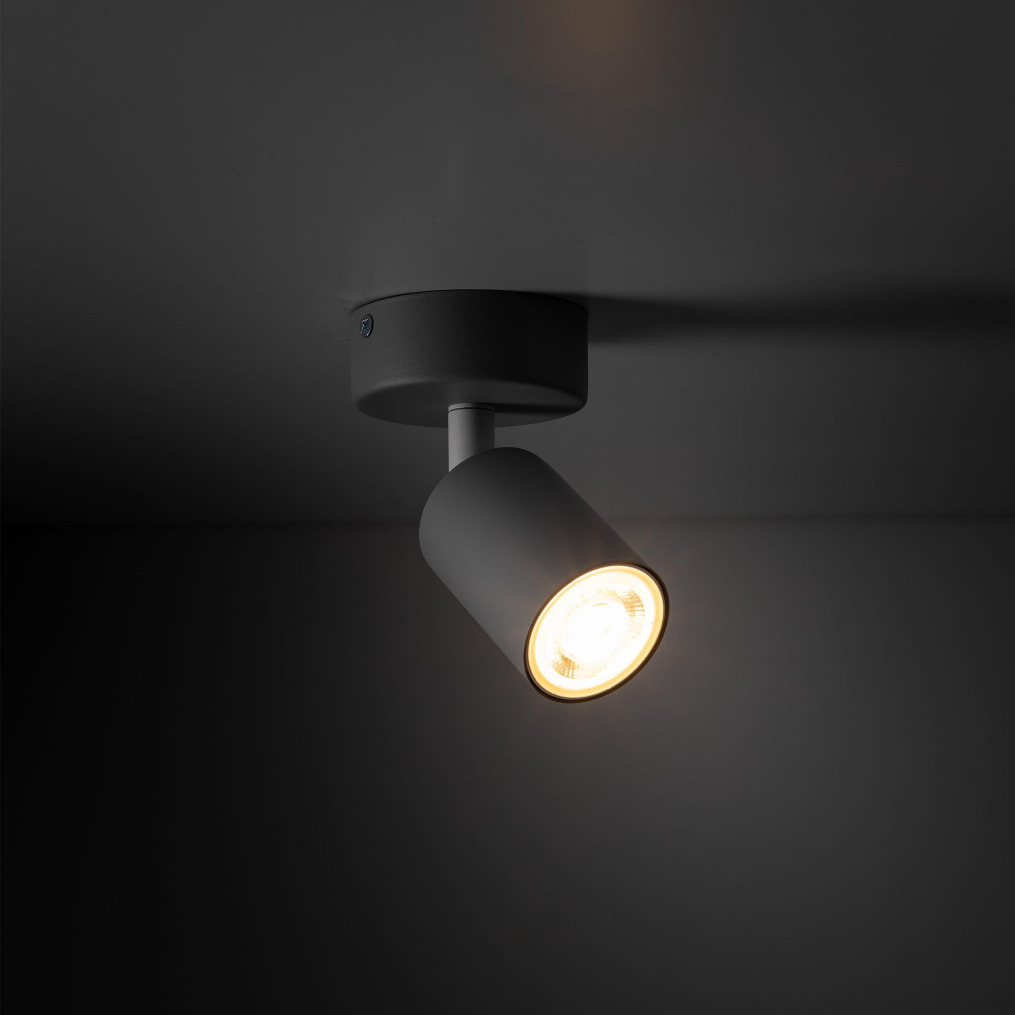 Spot nowoczesny skandynawski loft metalowy reflektor szary TK Lighting Livia 10223 1x10W GU10