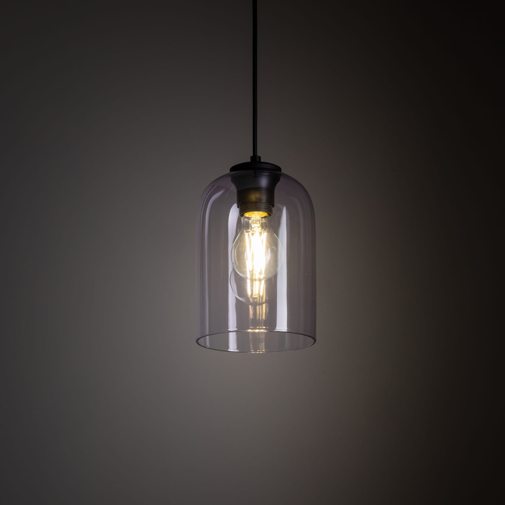 Lampa wisząca nowoczesna elegancka loft industrialna klosz szklany fioletowa czarna TK Lighting Molly 10299 1x15W E27