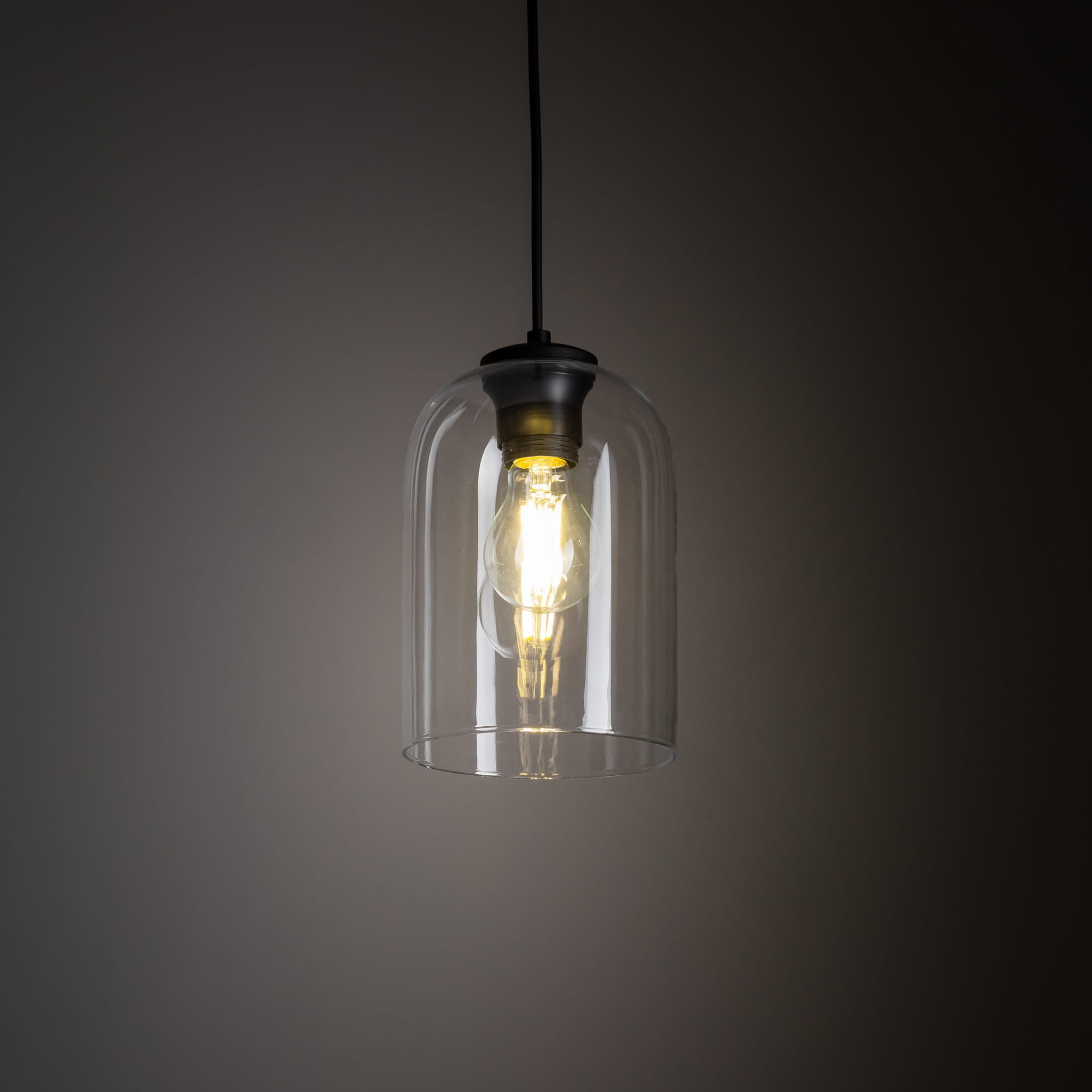 Lampa wisząca nowoczesna elegancka loft industrialna klosz szklany transparentna czarna TK Lighting Molly 10300 1x15W E27