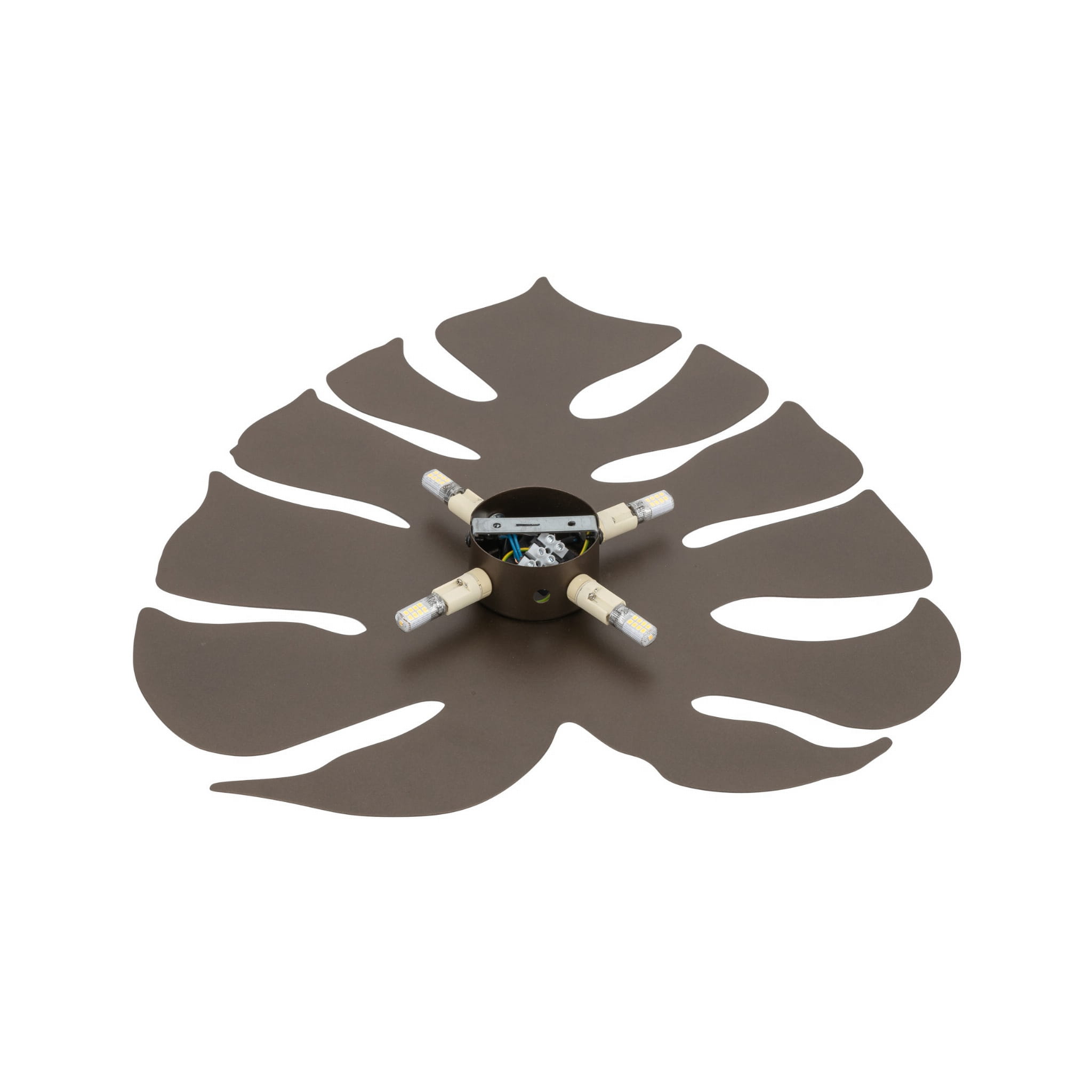 Kinkiet ścienny do salonu sypialni metalowy liść metalowy brązowy TK Lighting Monstera 5822 4x6W G9