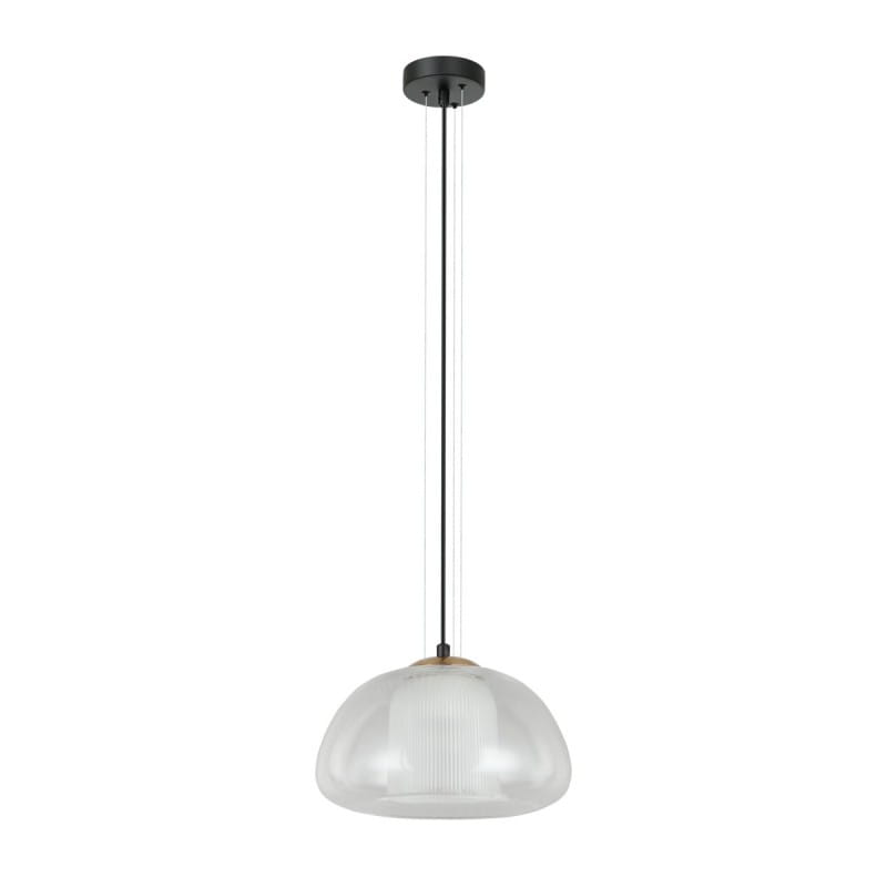 feder (2).jpg