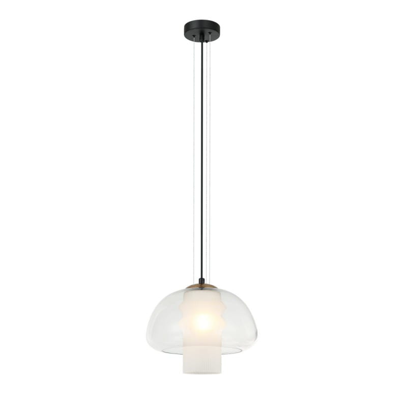 feder (4).jpg