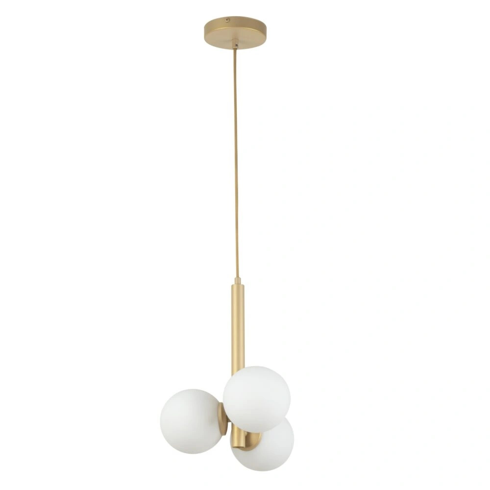 Image01.jpg