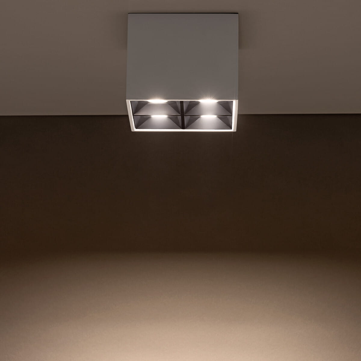 557c26037a7659c249e0c7e0c1f48f93